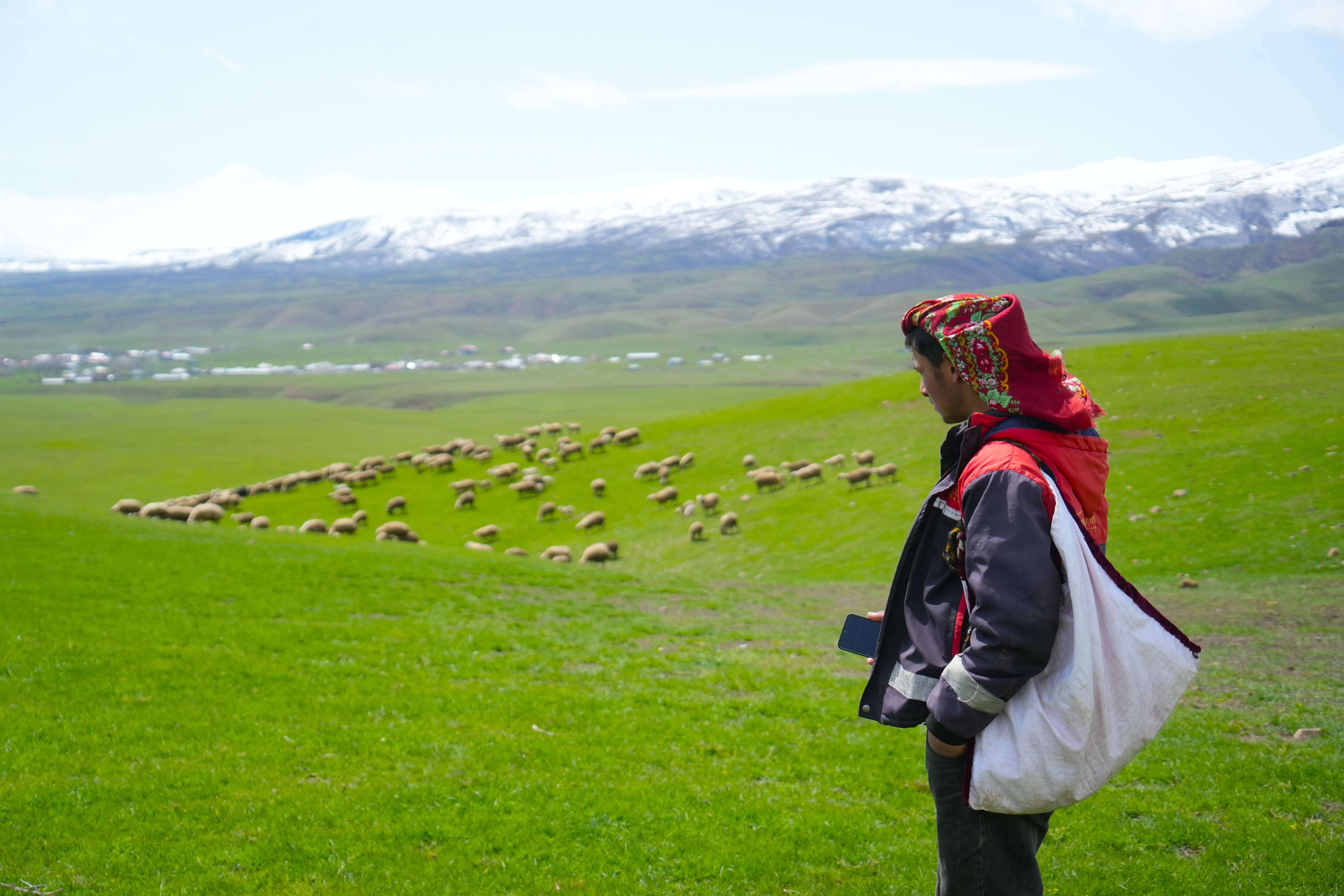Muş